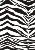 Tiger Pattern (Custom)