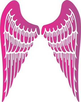 angel wings (Custom)