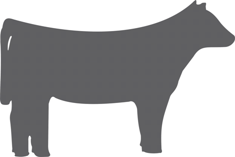 cow (Custom)