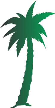 palm tree (Custom)