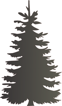 pine tree (Custom)