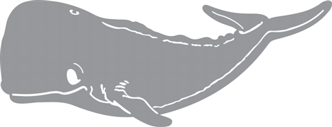 sperm whale (Custom)