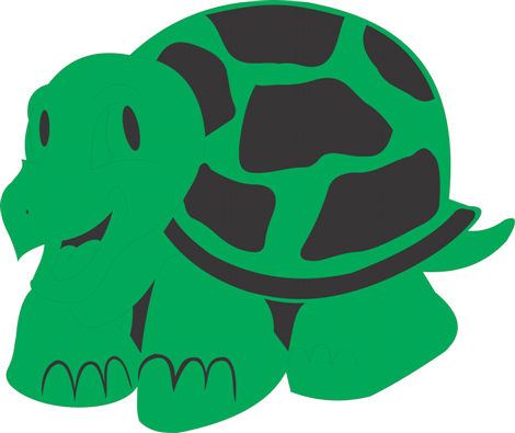 turtle (Custom)